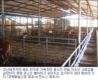 한우농가 이미지