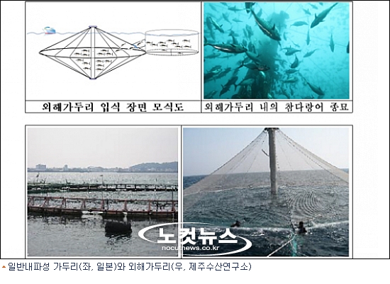 참치전쟁 이미지