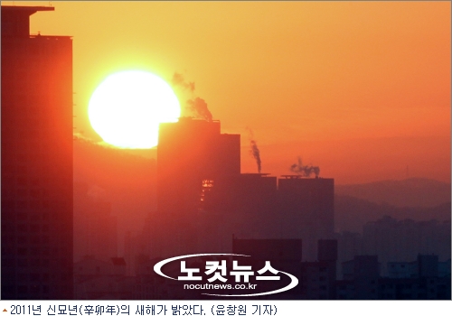 2011년 신묘년의 새해 사진