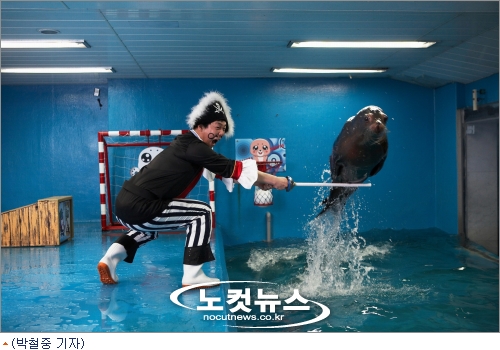 씨월드수족관 이미지