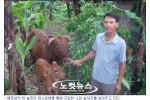 영상이미지